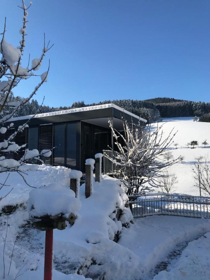 S-Suite Das Design-Ferienhaus Im Schwarzwald Biberach  Экстерьер фото