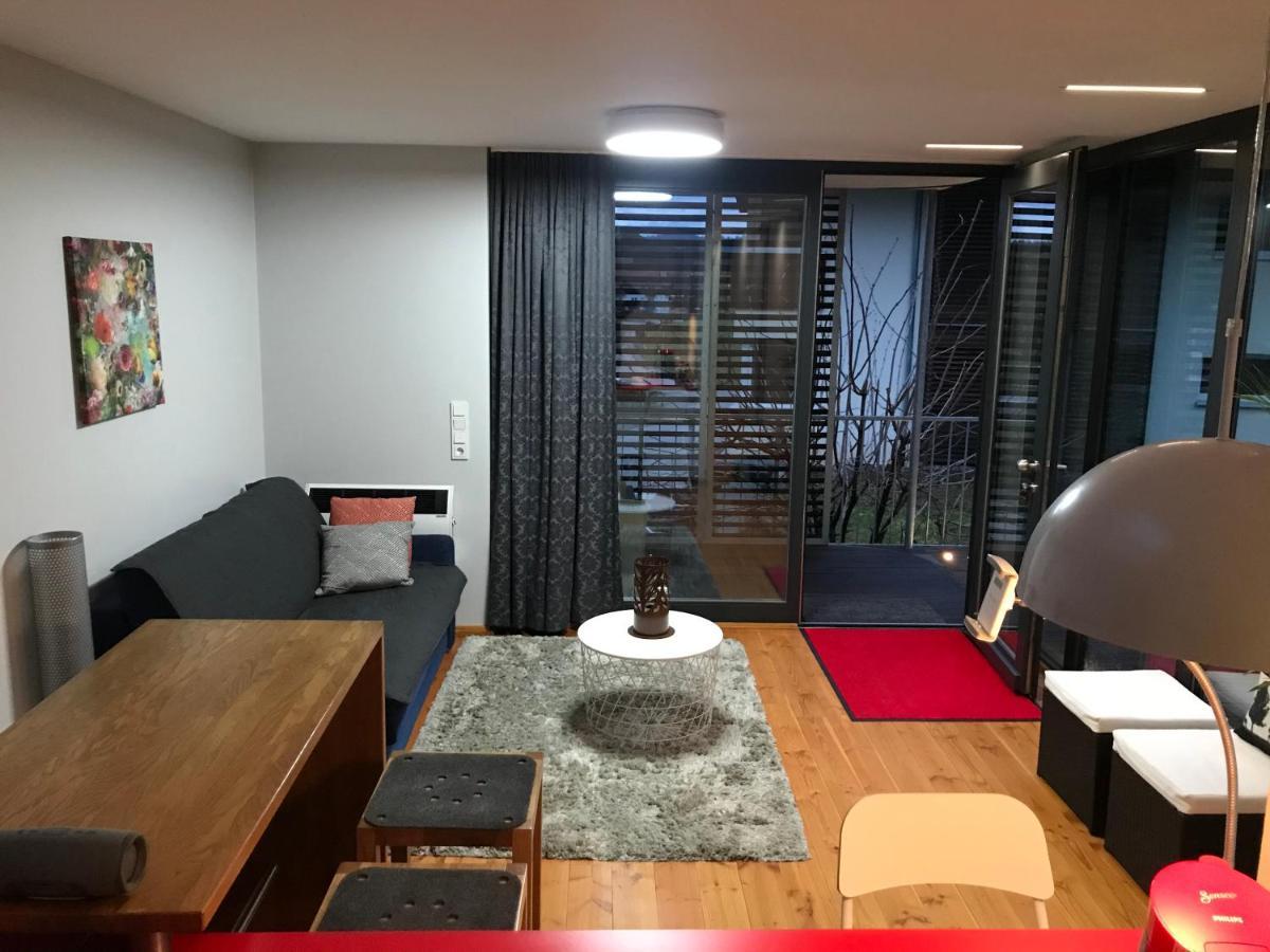 S-Suite Das Design-Ferienhaus Im Schwarzwald Biberach  Экстерьер фото