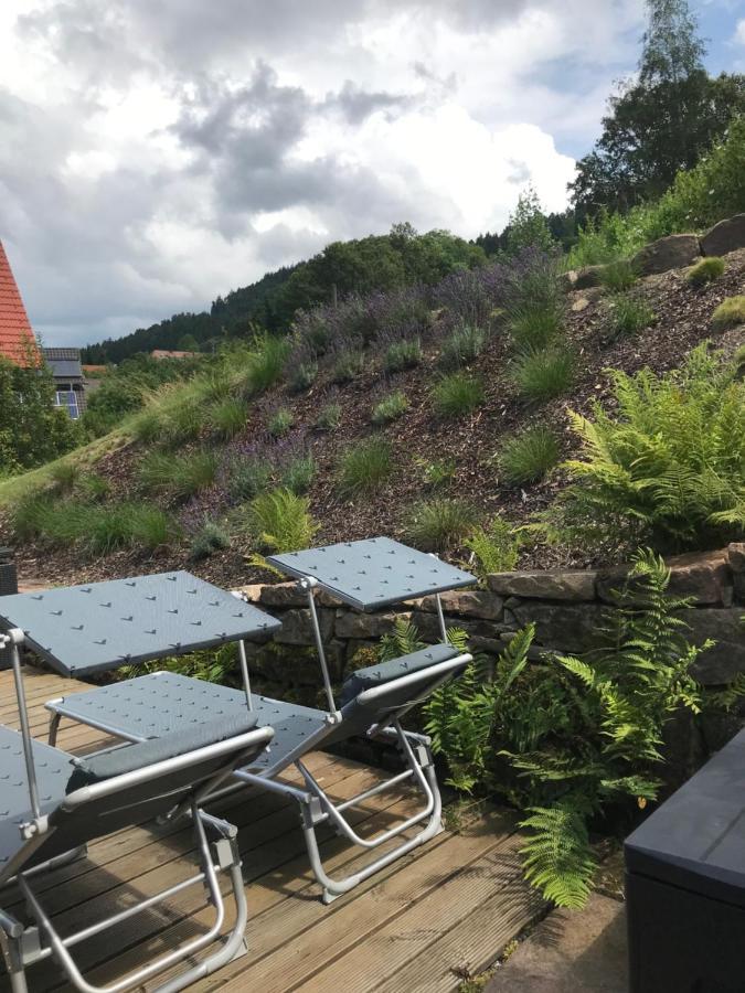 S-Suite Das Design-Ferienhaus Im Schwarzwald Biberach  Экстерьер фото
