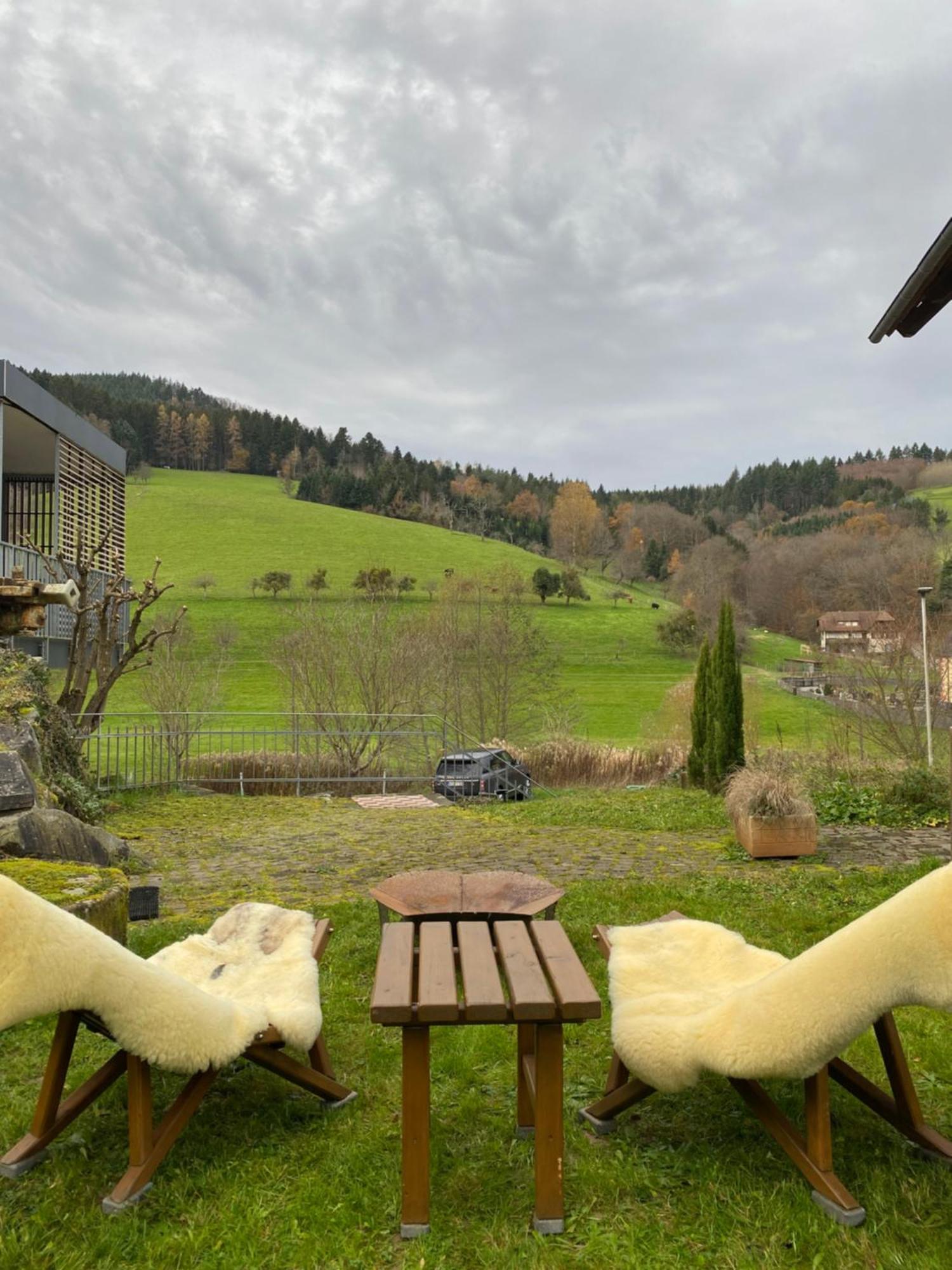 S-Suite Das Design-Ferienhaus Im Schwarzwald Biberach  Экстерьер фото